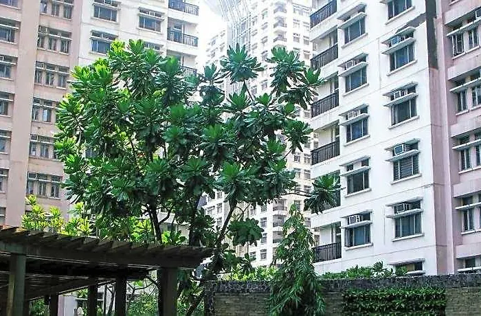 Cozy Pad In Cubao Hotel 4*
